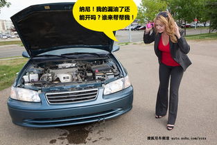 维护好汽车小零件 避免漏油